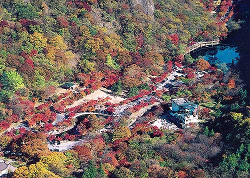 전망대에서 바라본 내장산의 가을 